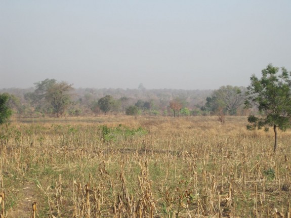sarudryseason