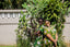 Two models wear the green Helia Dress outdoors blending with lush plant backdrop.