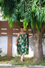 Front view of model wearing the Saya Dress in Waters print, standing under a tree, against a backdrop of a fence and foliage.