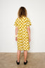 SS26 Del 1: Helia Dress in Vision