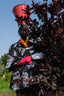Unique Album Garment jacket with black and white design, red sleeve, and yellow neckwear, beside dark red foliage.